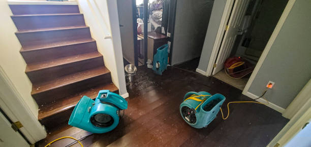 Best Mold removal after water damage  in John Day, OR