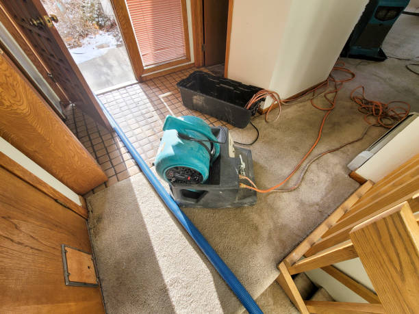 Best Basement water damage restoration  in John Day, OR