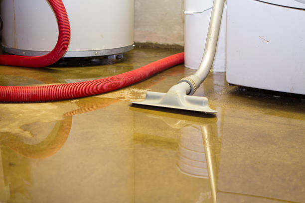 Best Flood damage cleanup  in John Day, OR
